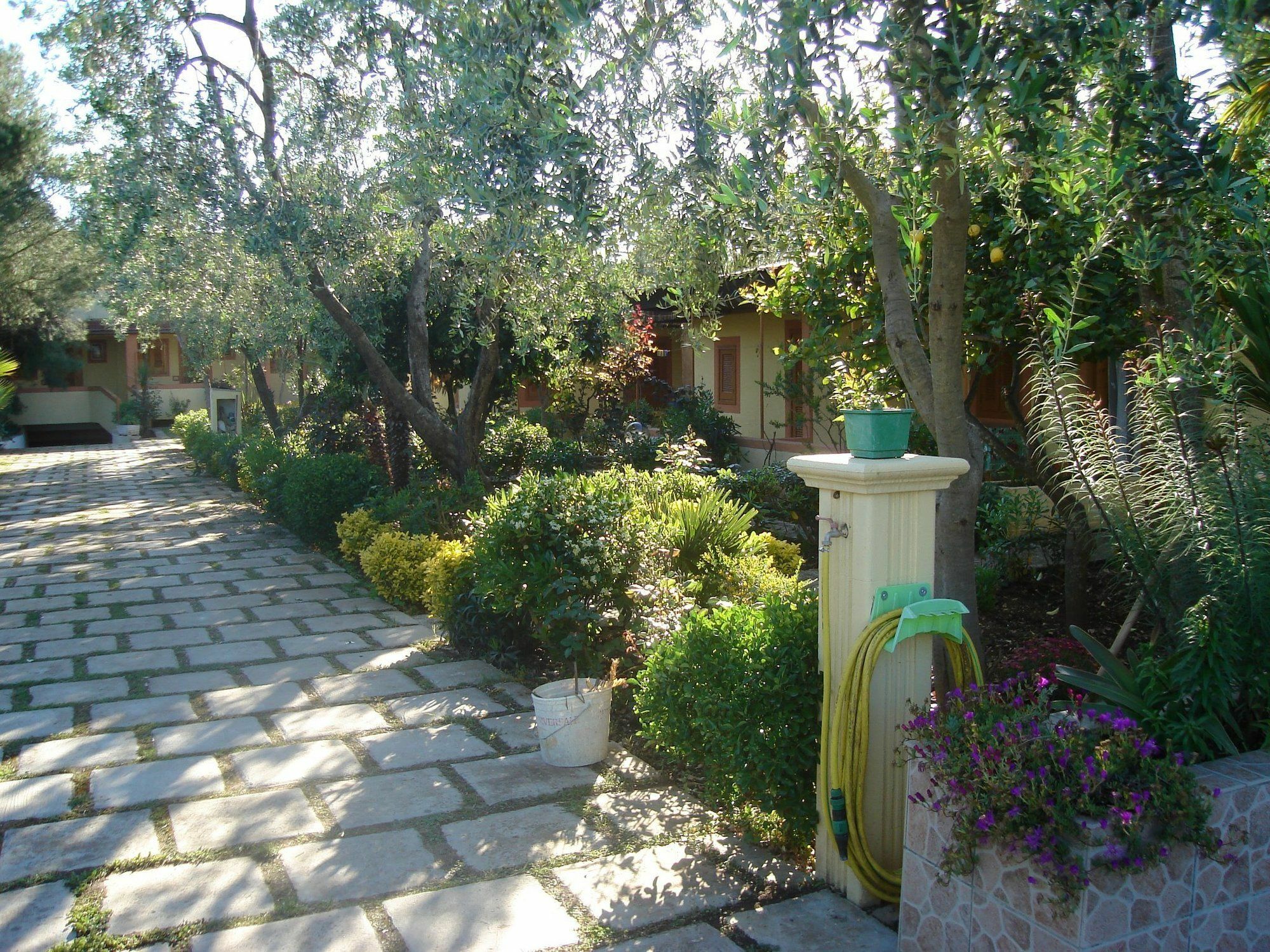 Residence Giardino Vieste Bagian luar foto